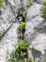 Klik za večjo sliko