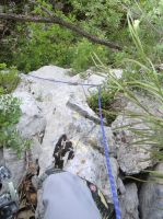 Klik za večjo sliko