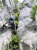 Klik za večjo sliko