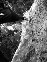 Klik za večjo sliko