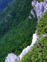 Klik za večjo sliko