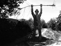 Klik za večjo sliko