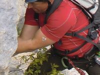 Klik za večjo sliko