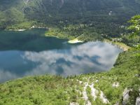 Klik za večjo sliko