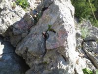 Klik za večjo sliko