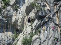 Klik za večjo sliko