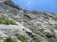 Klik za večjo sliko