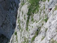 Klik za večjo sliko