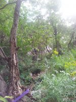 Klik za večjo sliko