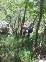 Klik za večjo sliko