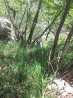 Klik za večjo sliko