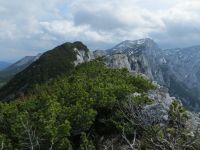 Klik za večjo sliko