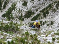 Klik za večjo sliko