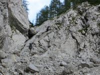 Klik za večjo sliko