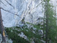 Klik za večjo sliko