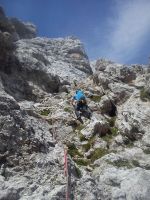 Klik za večjo sliko