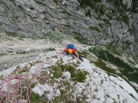 Klik za večjo sliko