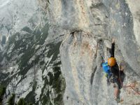 Klik za večjo sliko