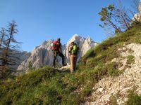 Klik za večjo sliko