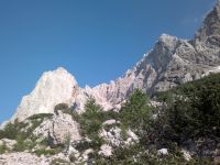 Klik za večjo sliko