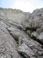 Klik za večjo sliko