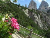 Klik za večjo sliko