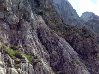 Klik za večjo sliko