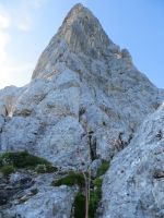 Klik za večjo sliko