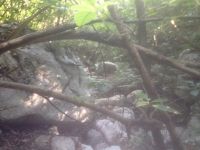 Klik za večjo sliko