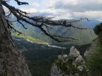 Klik za večjo sliko