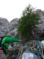 Klik za večjo sliko