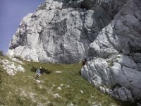 Klik za večjo sliko