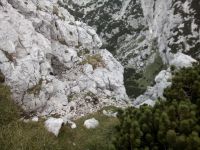 Klik za večjo sliko