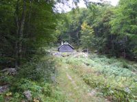 Klik za večjo sliko