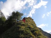 Klik za večjo sliko