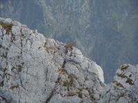 Klik za večjo sliko