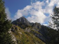 Klik za večjo sliko