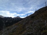 Klik za večjo sliko