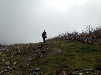 Klik za večjo sliko