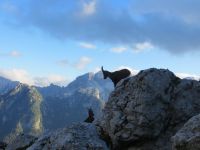 Klik za večjo sliko