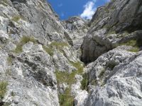 Klik za večjo sliko