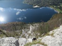 Klik za večjo sliko