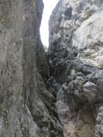 Klik za večjo sliko