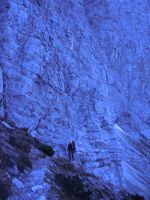 Klik za večjo sliko