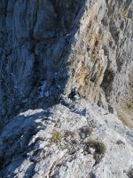 Klik za večjo sliko