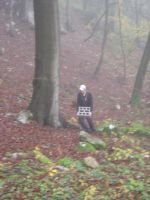 Klik za večjo sliko