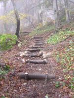 Klik za večjo sliko