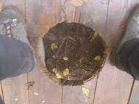 Klik za večjo sliko