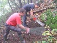 Klik za večjo sliko