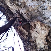 Klik za večjo sliko